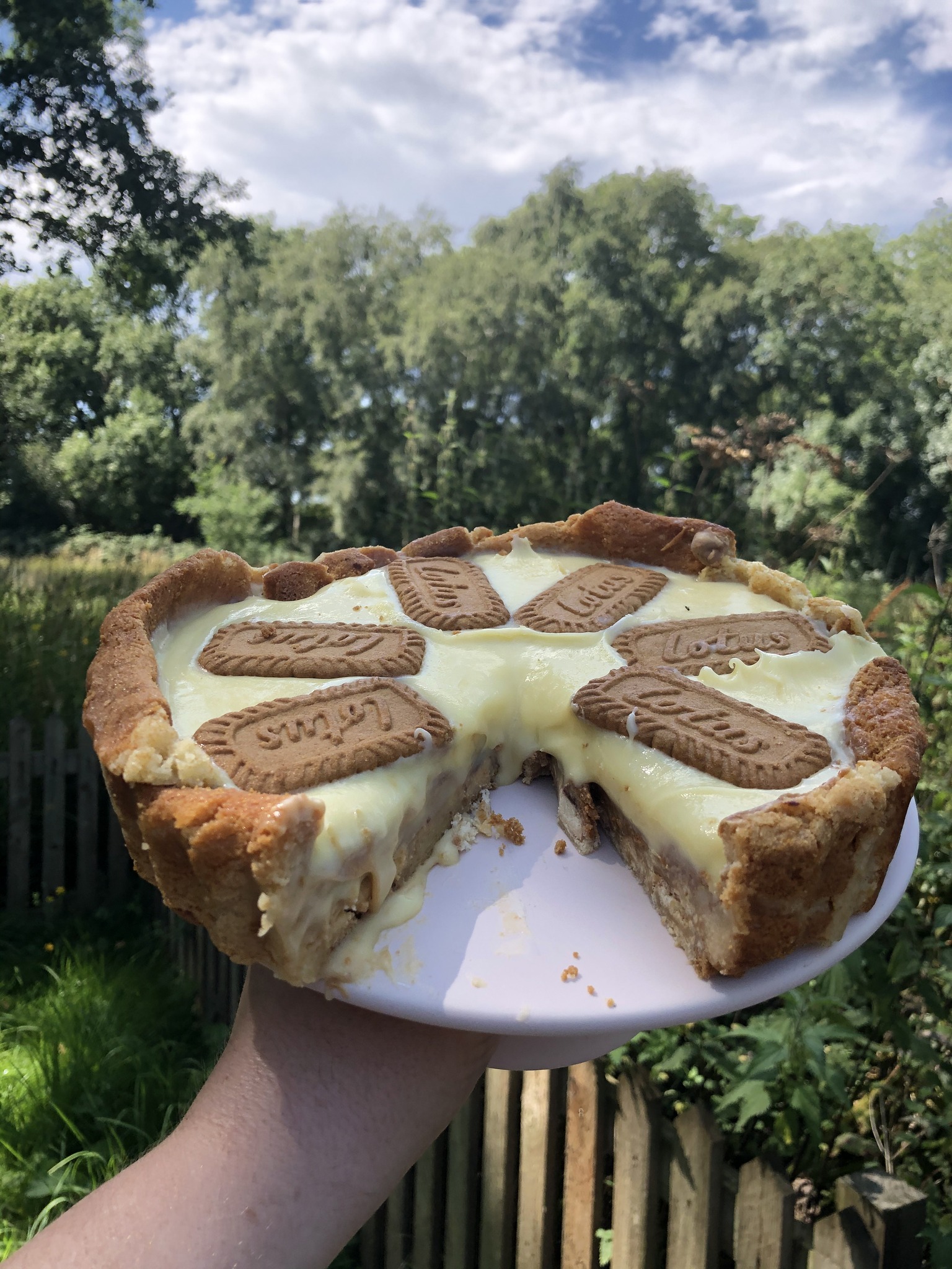 Biscoff Blondie Crust Pie